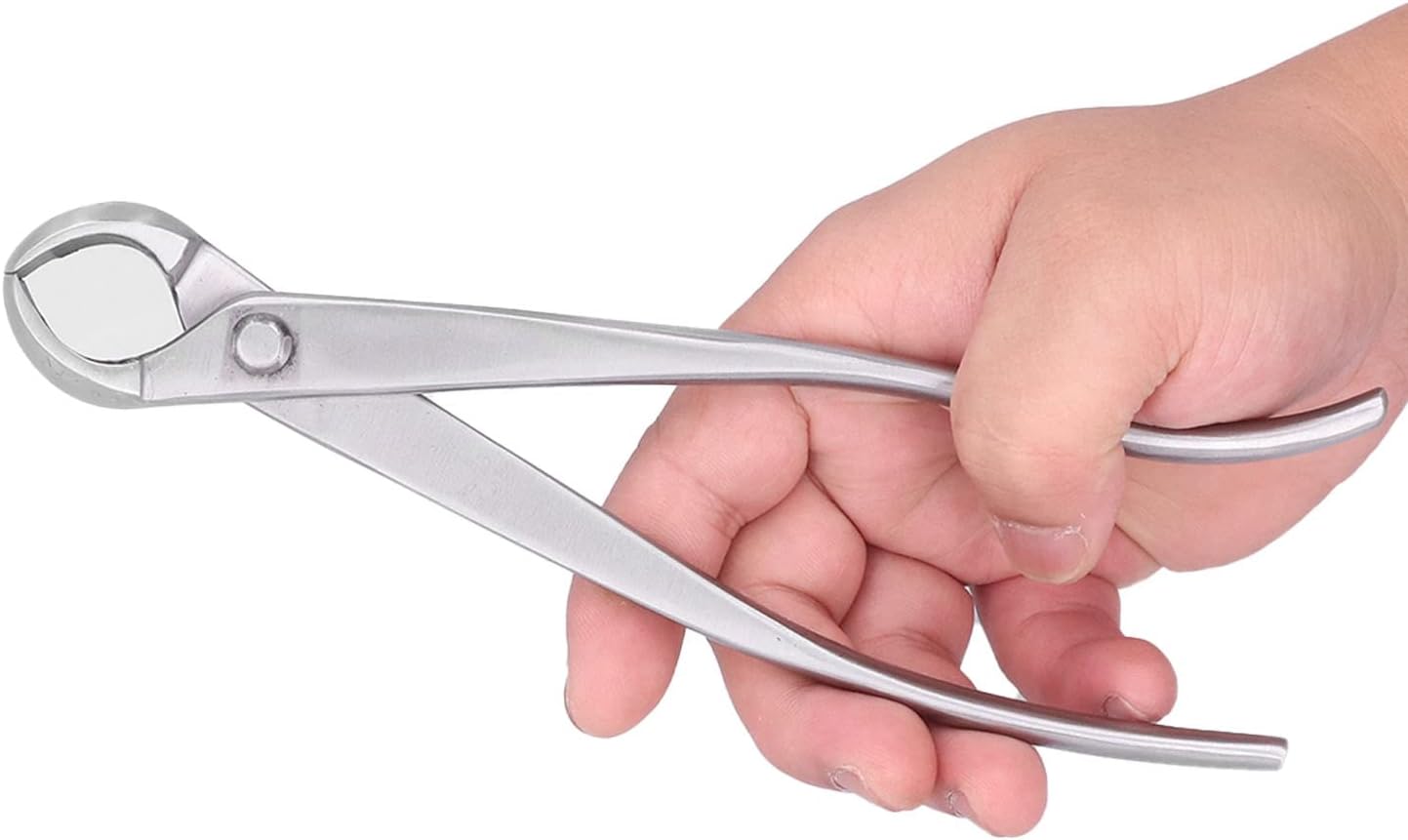Bonsai Tool Set Pruning Scissors Portable Garden Concave Cutter for Flowers