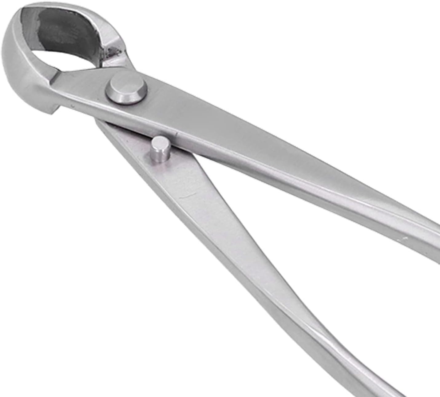 Bonsai Tool Set Pruning Scissors Portable Garden Concave Cutter for Flowers