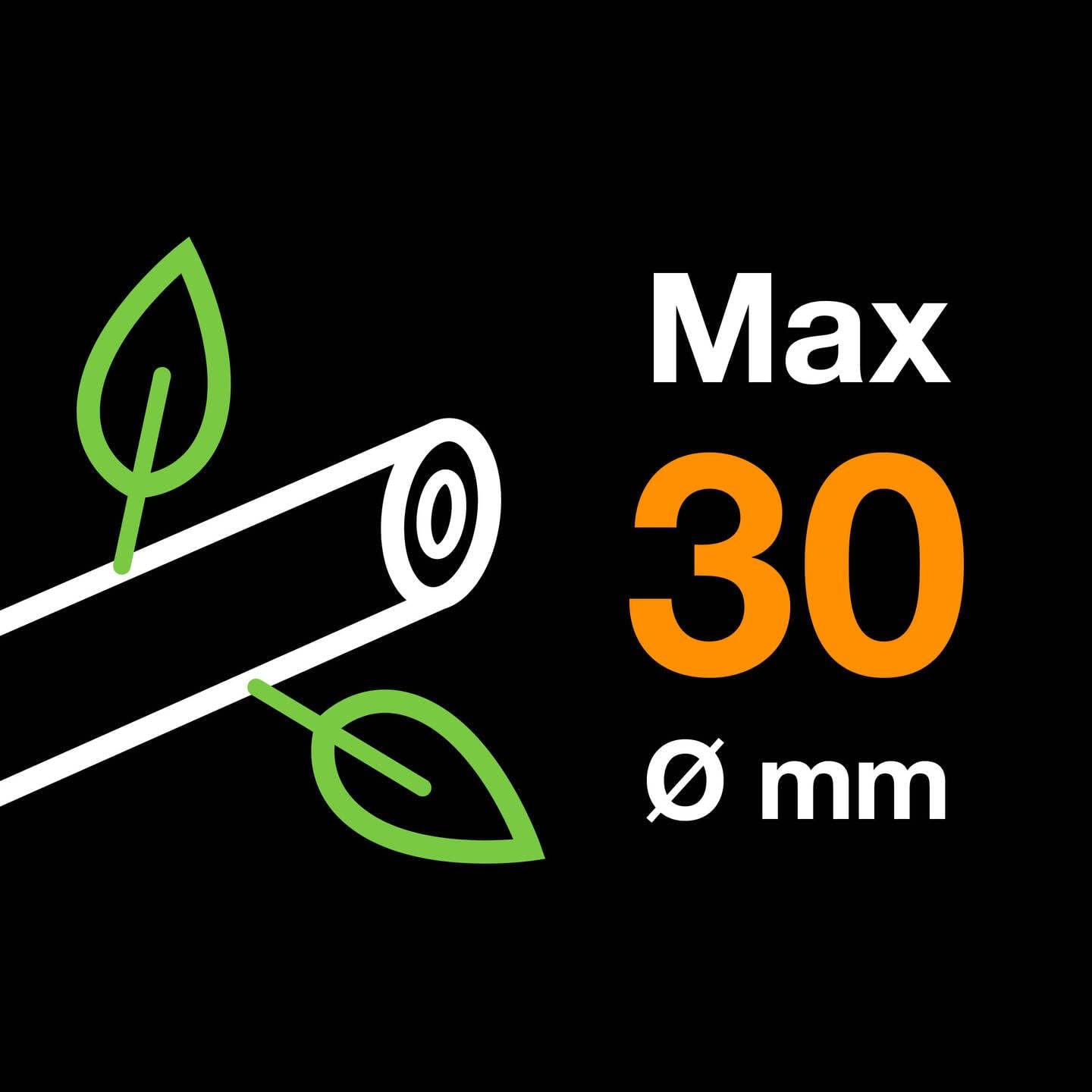 Fiskars 1001555 Podadora piñones Bypass L72, Standard, (Width Ø 2.8 cm)