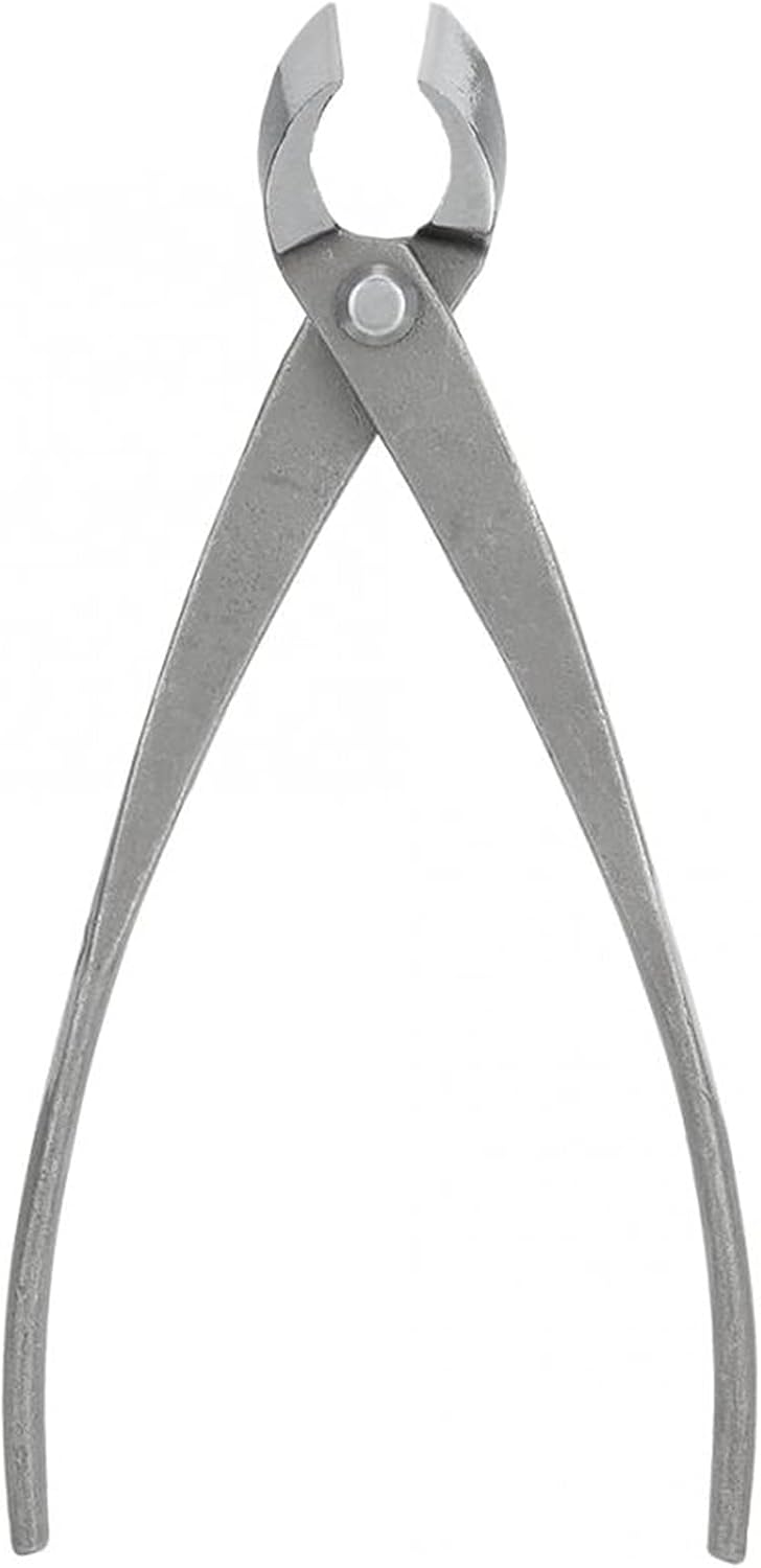 Floral Shears Strong Pruner 213mm 8 inch Garden Branch Cutter Forged Steel Round Edge Beginner Scissors Cutter Bonsai Tools Gardening Tree Cutter