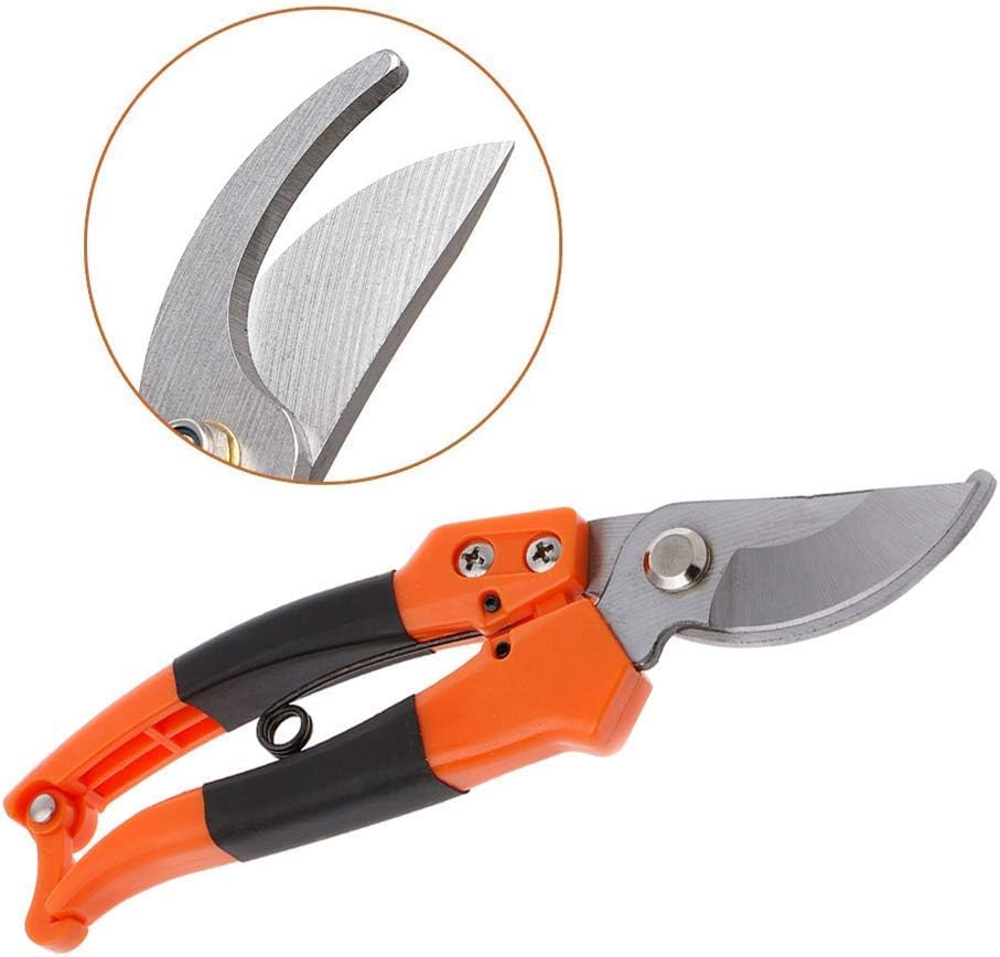 Pruner Set, Garden Tool with Pruners Pruning Shears Carbon Steel Pruning Shears Garden Tool Grafting Cutting Durability Comfortable Pruners