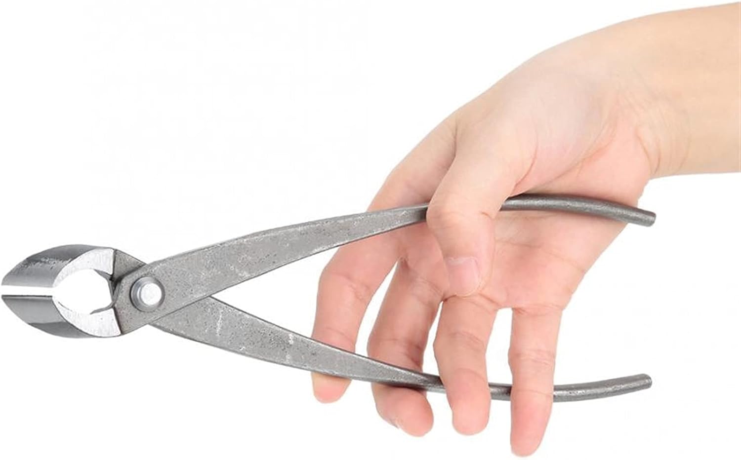 Floral Shears Strong Pruner 213mm 8 inch Garden Branch Cutter Forged Steel Round Edge Beginner Scissors Cutter Bonsai Tools Gardening Tree Cutter