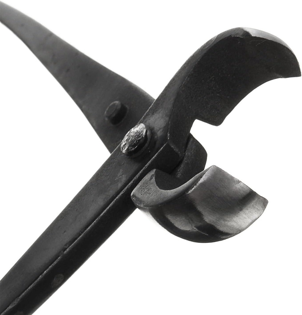 Trimming Tool Round Edge Cutter Beginner Bonsai Tools Multi - Function As Branch Cutter and Knob Cutter 210 mm Carbon Steel and Versatile.
