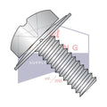 2-56 x 1/4' SEMS Screws/Square Cone Washer/Phillips/Pan Head / 18-8 Stainless Steel (Quantity: 3,000 pcs)