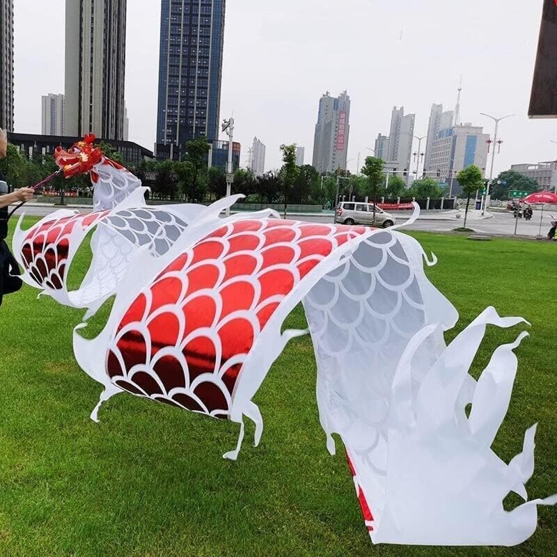 Chinese New Year Decorations Dance Lion Props Streamer Chinese New Year Silk Dragon Traditional Outdoor Dragon Fitness Ribbon Spring Festival Party Supplies(B,8m)