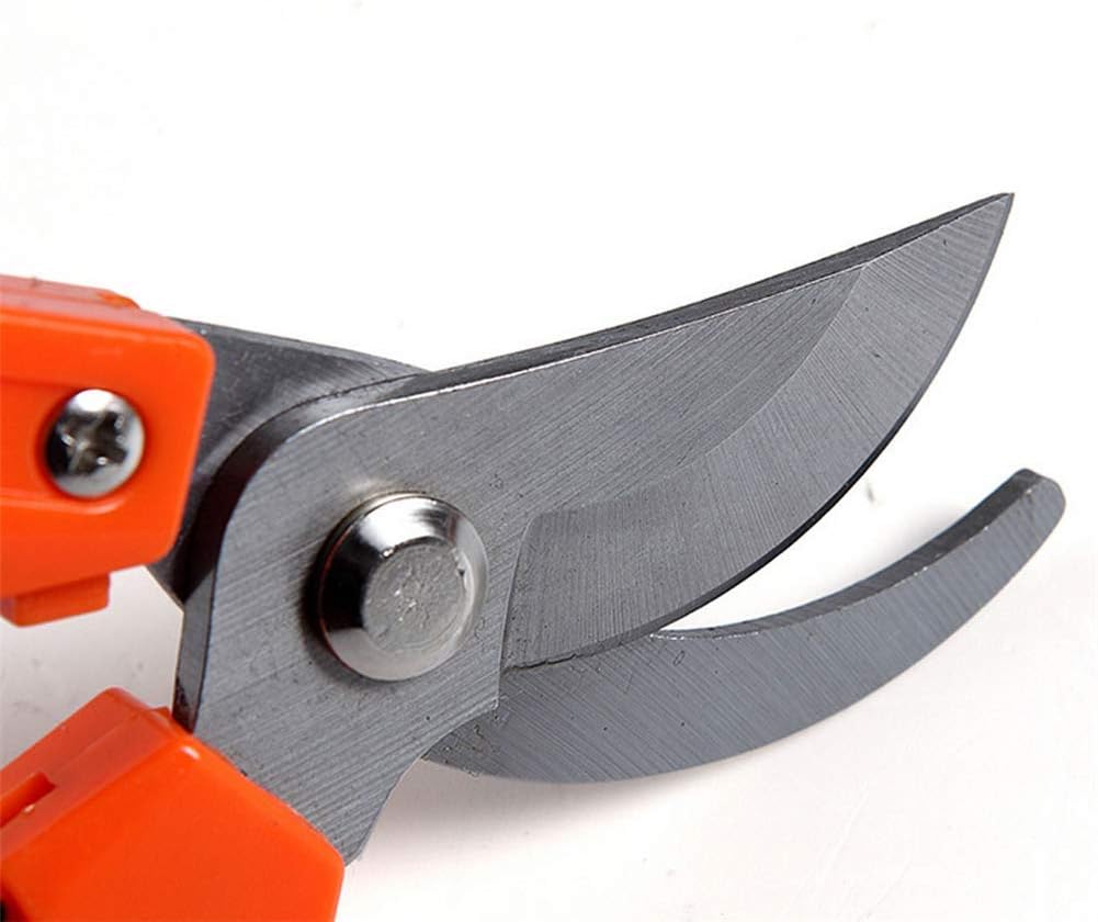 Pruner Set, Garden Tool with Pruners Pruning Shears Carbon Steel Pruning Shears Garden Tool Grafting Cutting Durability Comfortable Pruners