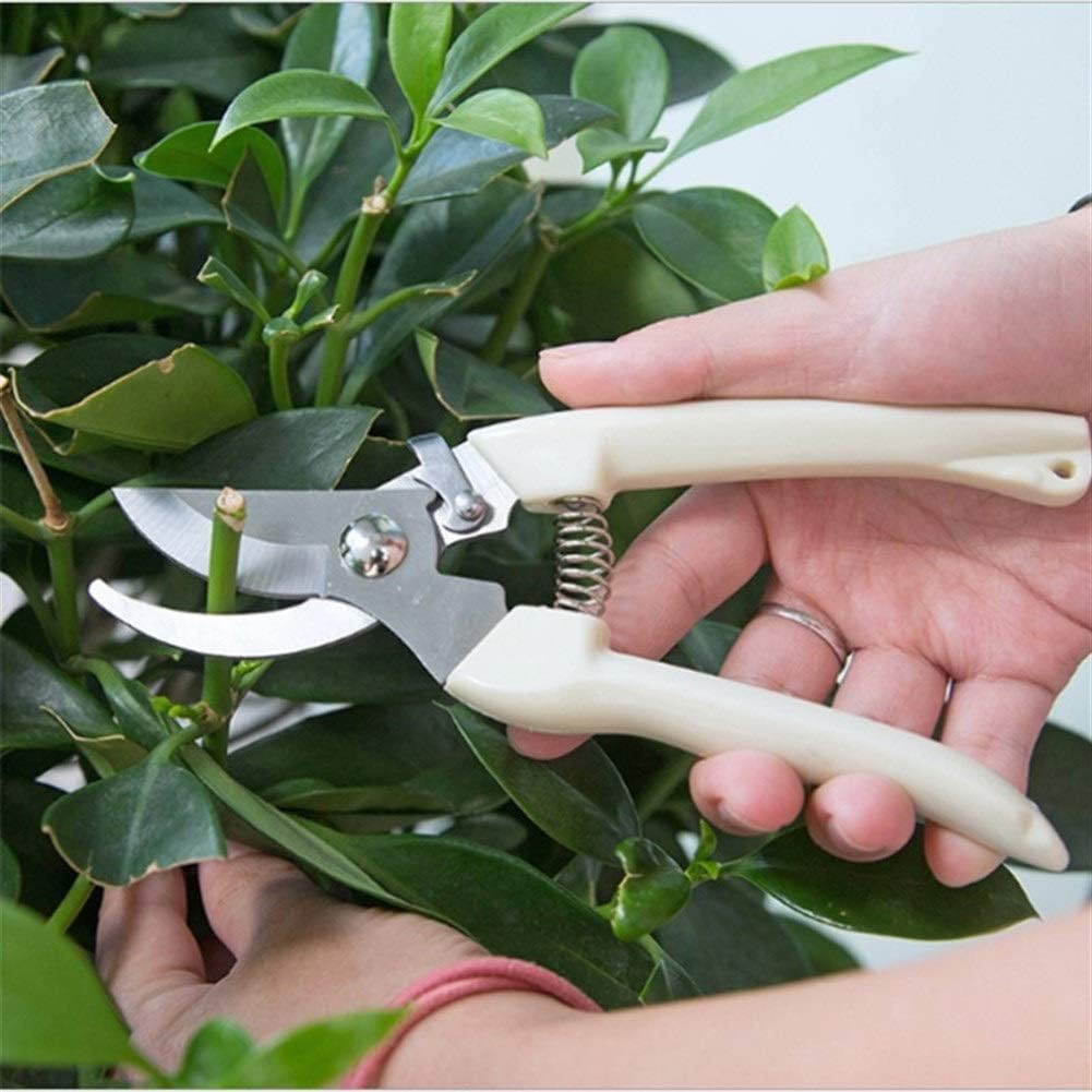 Pruning Shears, Pruner Tree Cutter Home Tools Anti-Slip Bonsai Tool Grape Gardening Pruning Shear Scissor Stainless Steel Cutting Tools Set