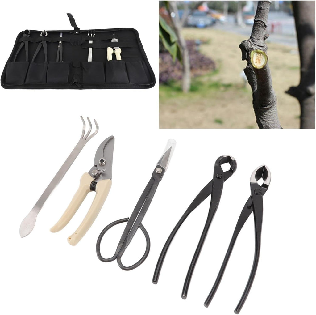 5 Piece Bonsai Tool Kit, Carbon Steel Bonsai Scissors, Rake, Branch Cutter Pruning Shears with Pliers and Carry Case, Professional Bonsai Tree Care Set for Trimming, Shaping Maintenance