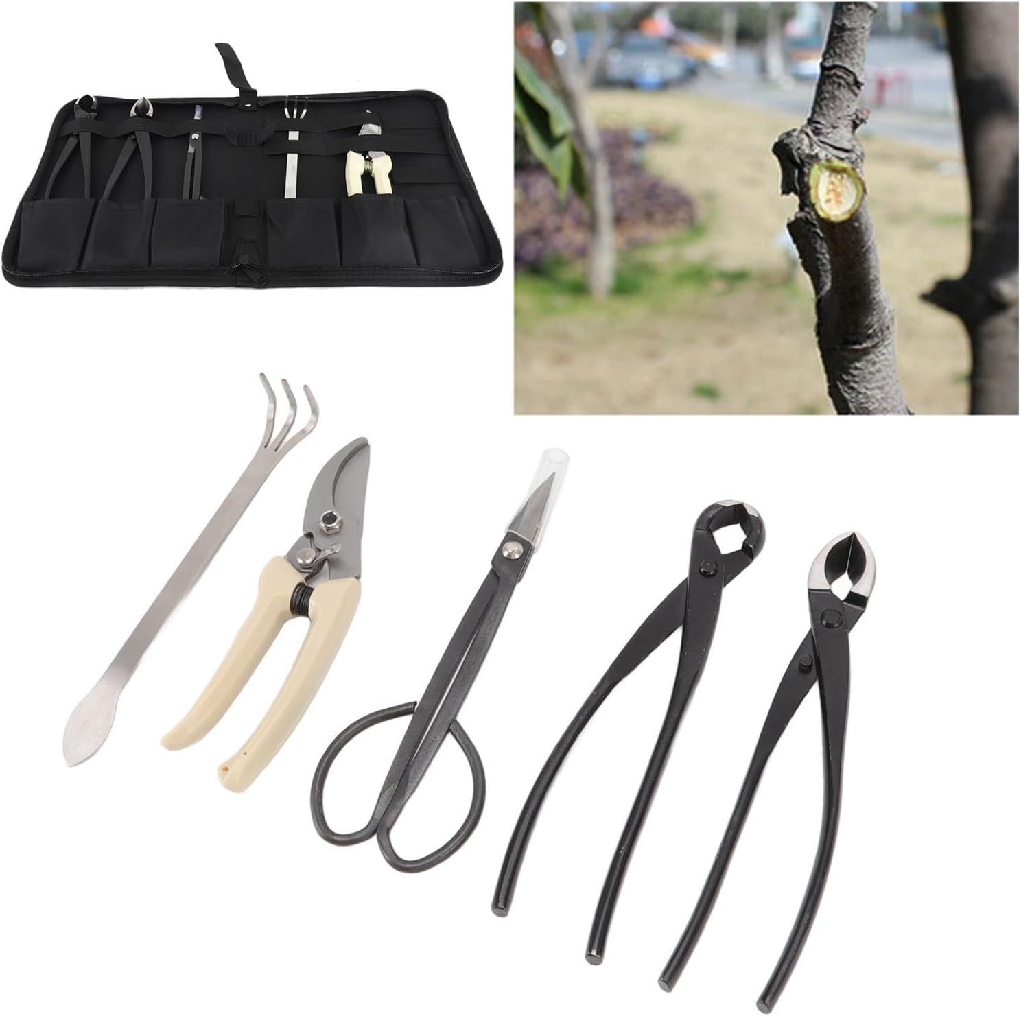 5 Piece Bonsai Tool Kit, Carbon Steel Bonsai Scissors, Rake, Branch Cutter Pruning Shears with Pliers and Carry Case, Professional Bonsai Tree Care Set for Trimming, Shaping Maintenance