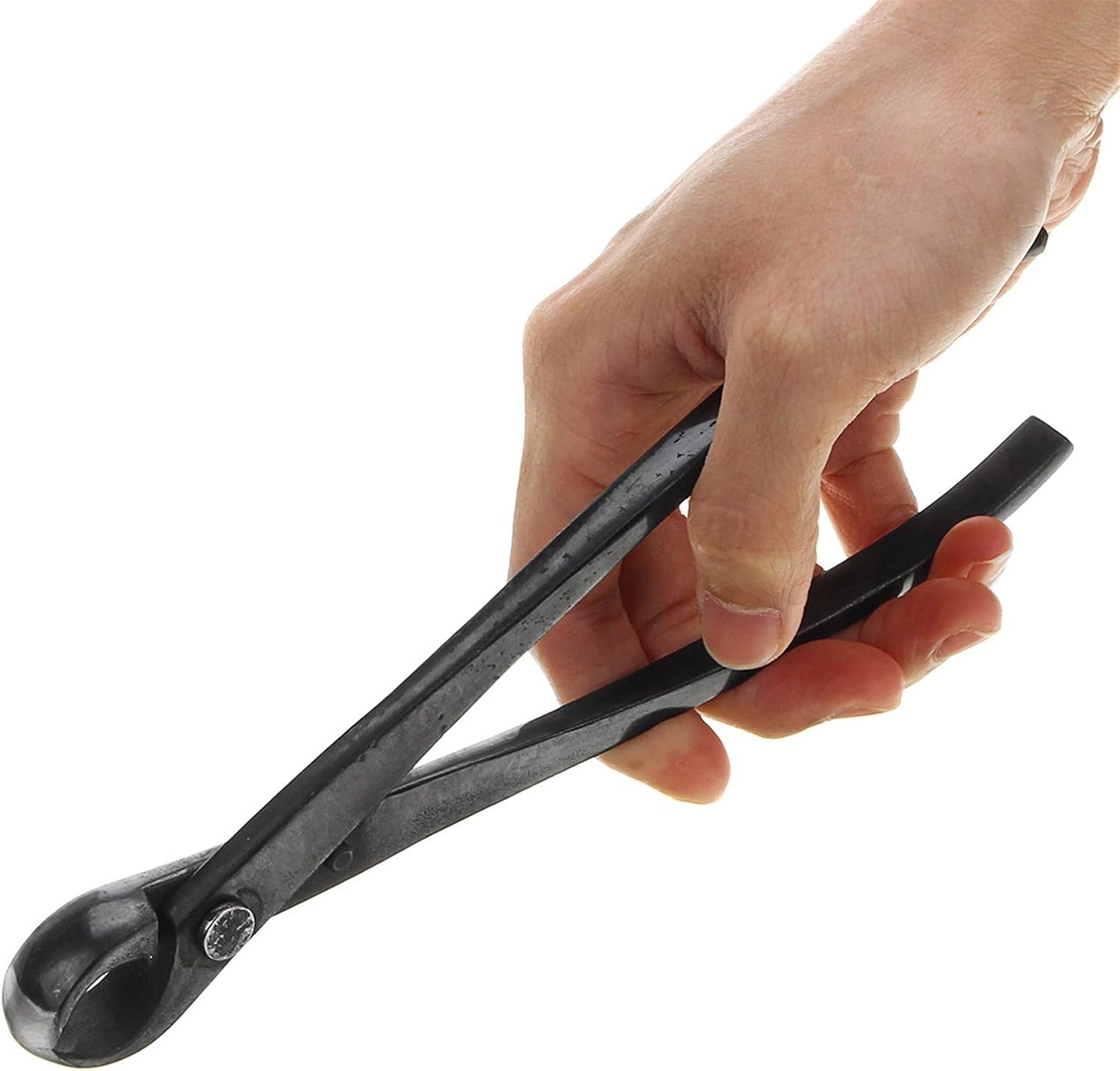 Trimming Tool Round Edge Cutter Beginner Bonsai Tools Multi - Function As Branch Cutter and Knob Cutter 210 mm Carbon Steel and Versatile.