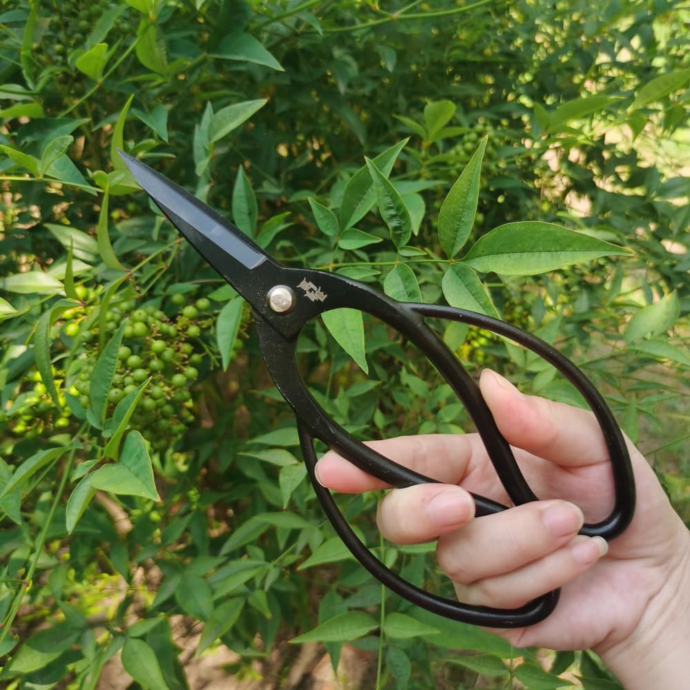 Durable Bonsai Plant Tree Scissors Trimming Cutting Tool Set With Green Storage Bag Pruning Tools Garden Accessories
