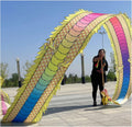 Chinese New Year Decorations Dragon Dance Ribbon Streamer with Travel Bag Washable Chinese Flinging Ribbon Exercise Dance Dragon Spring Festival Party Supplies(E,12M)