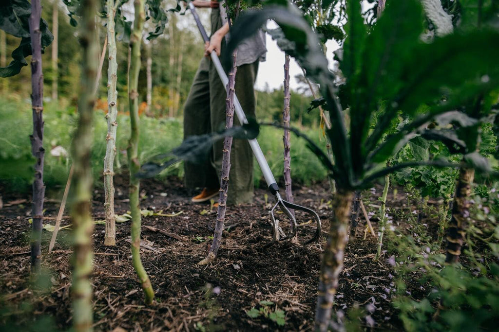 Fiskars Xact Cultivator 3 prongs 150 mm, for Optimal Cultivation of the Soil, Length: 172 cm, Width: 14.8 cm, Black/Orange, Stainless Steel/Plastic/Aluminium, 1027040