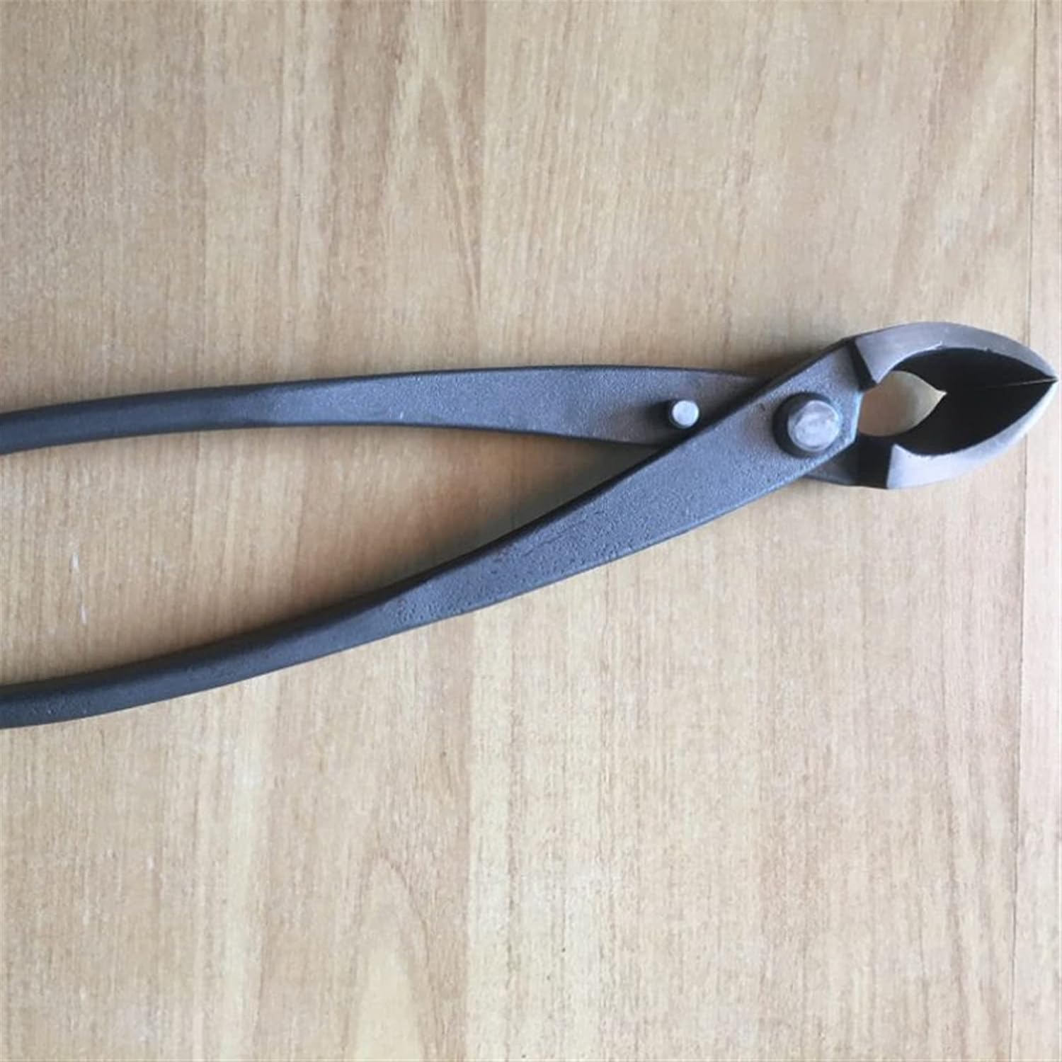 Floral Shears Strong Pruner 213mm 8 inch Garden Branch Cutter Forged Steel Round Edge Beginner Scissors Cutter Bonsai Tools Gardening Tree Cutter