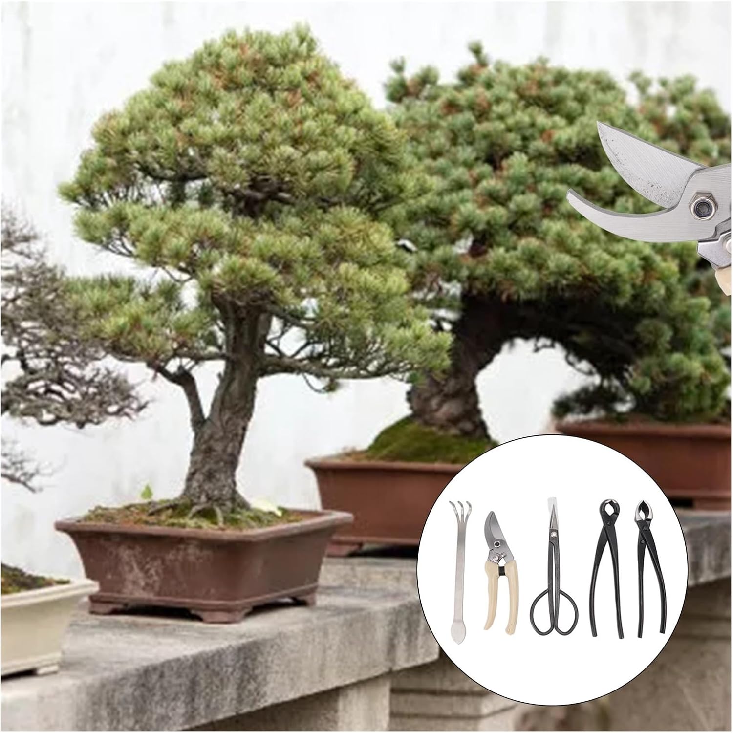 5 Piece Bonsai Tool Kit, Carbon Steel Bonsai Scissors, Rake, Branch Cutter Pruning Shears with Pliers and Carry Case, Professional Bonsai Tree Care Set for Trimming, Shaping Maintenance