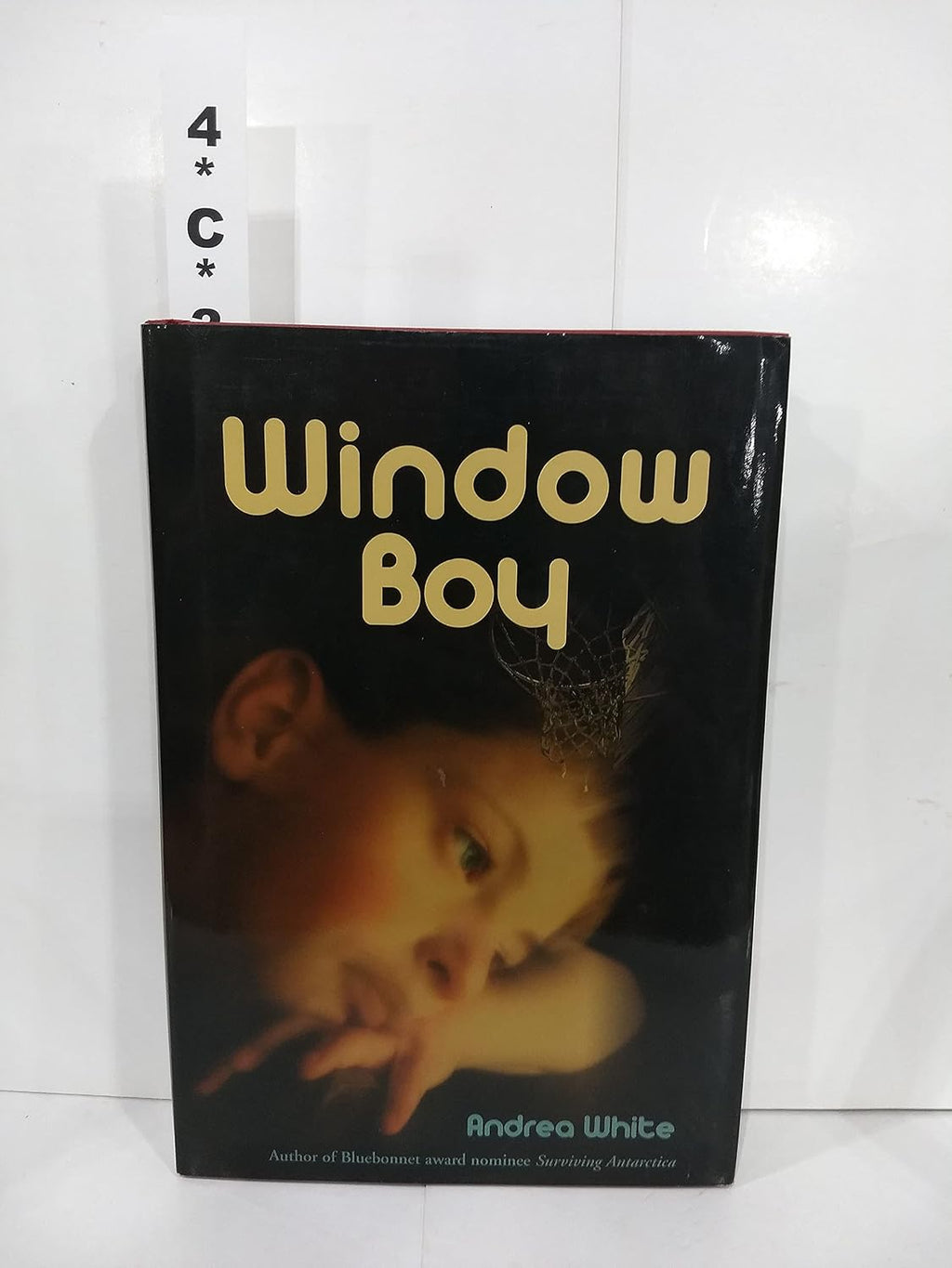Window Boy