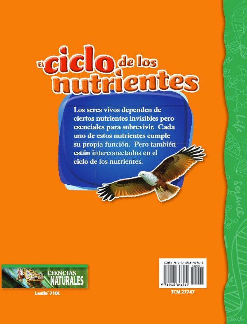 Let's Explore Life Science Grades 4-5 Spanish, 10-Book Set (Science: Informational Text) (Spanish Edition)