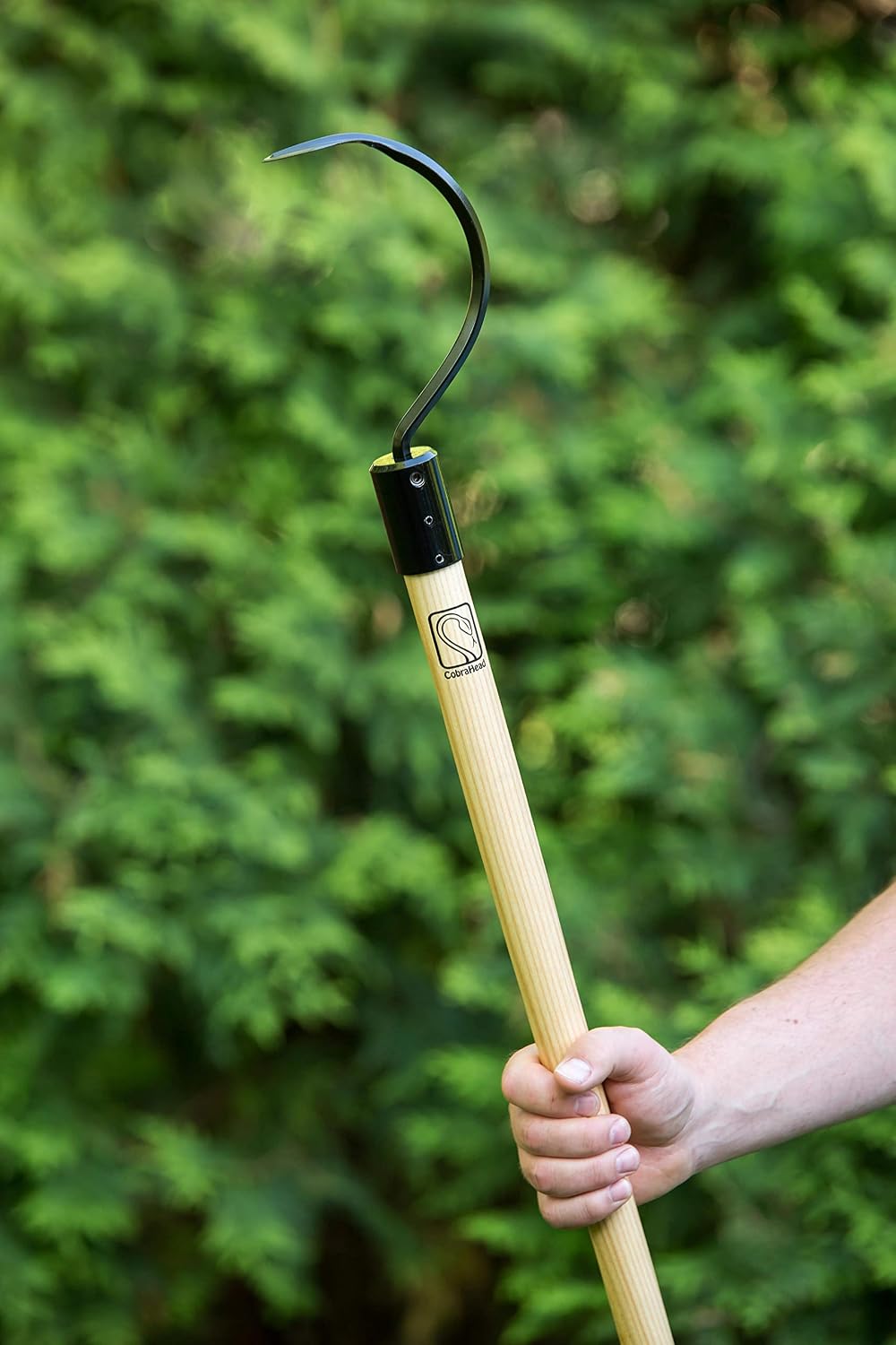 CobraHead® Long Handle Weeder & Cultivator Garden Tool - Forged Steel Blade - Natural 48-Inch Hardwood Handle - Ergonomically Designed for Digging, Edging & Planting - Perfect for Big Gardening Jobs