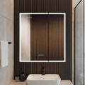 Blossom LED Lighted Mirror Medicine Cabinet, 30x32 Inch - Recessed or Surface Bathroom LED Medicine Cabinet with Mirror, Defogger, Adjustable Brightness - 3X Makeup Mirror, Outlets & USB Ports