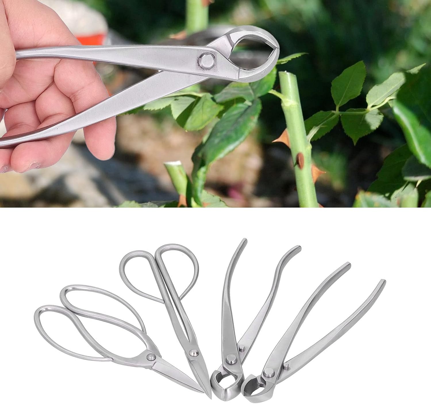 4 Piece Bonsai Tool Set, Stainless Steel Knob Shears, Trunk Splitter, Concave Shears, Gardening Tool Set, First Choice for Bonsai Enthusiasts (Nylon Protective Bag)