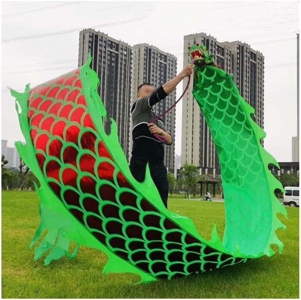 Chinese New Year Decorations Dance Lion Props Streamer Chinese New Year Silk Dragon Traditional Outdoor Dragon Fitness Ribbon Spring Festival Party Supplies(E,6m)