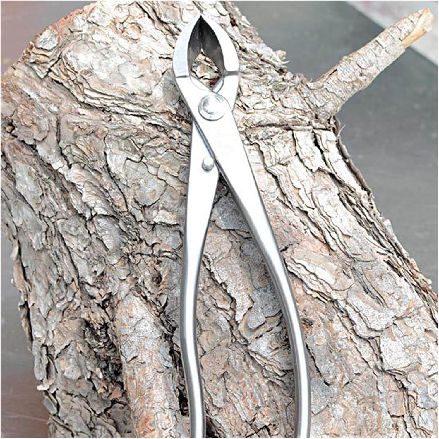 Professional Bonsai Tool 8.27in Stainless Steel Bonsai Shears, Root Cutter Trunk Splitter Complete Gardening Tool Set for Bonsai Tree Care, Pruning, Trimming Bonsai Starter Kit Succulent Tools Set