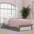 AFI Colorado Twin XL Size Platform Bed with Twin XL Trundle and Charging Station in Grey