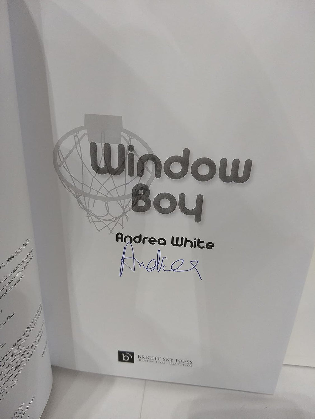 Window Boy
