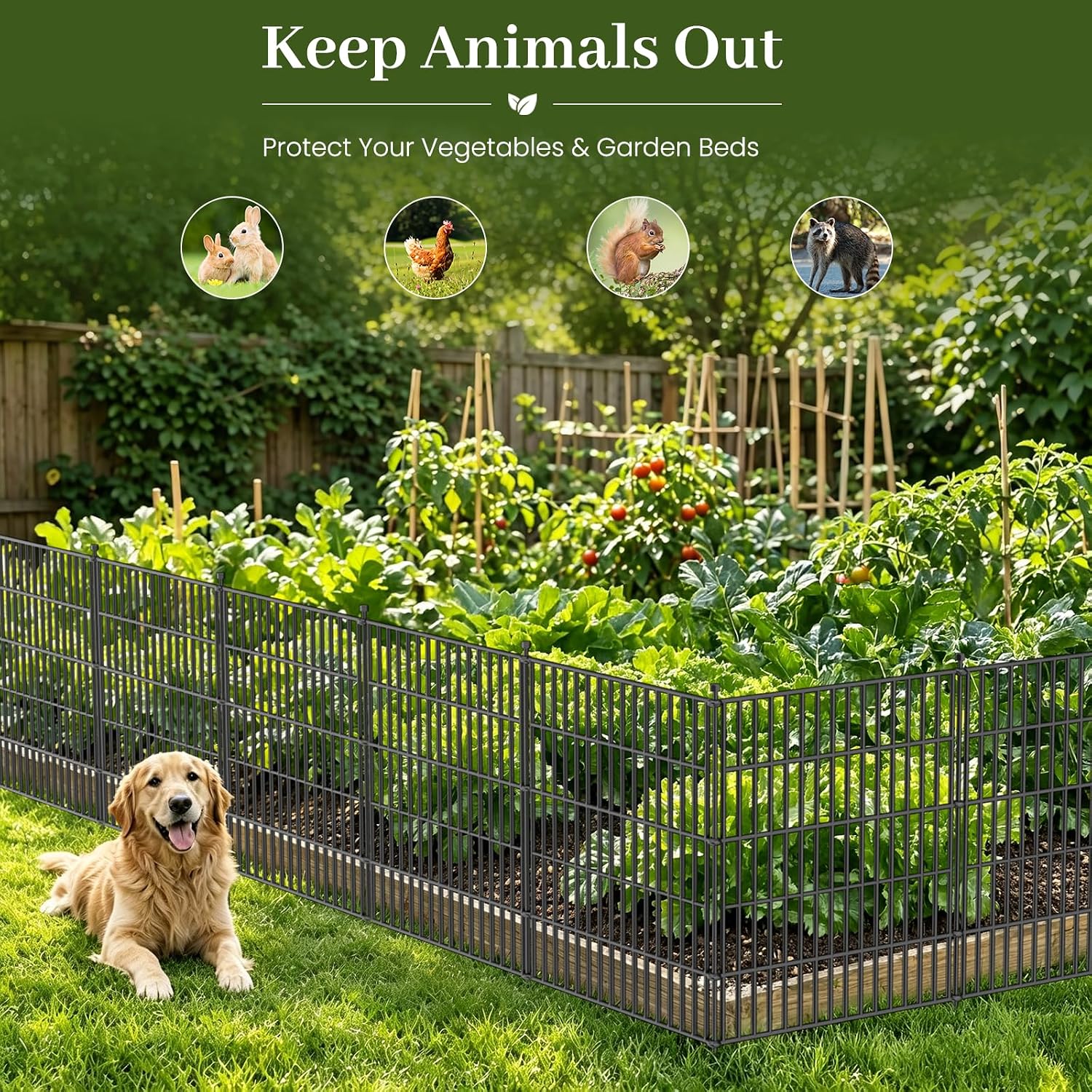 No-Dig Decorative Outdoor Garden Fence for Yard, Animal Barrier Fencing for Dog | Rustproof Metal Temporary Fence for Patio, Pet and Flower Bed | 32in (H) x 35.4ft(L), 15 Panels