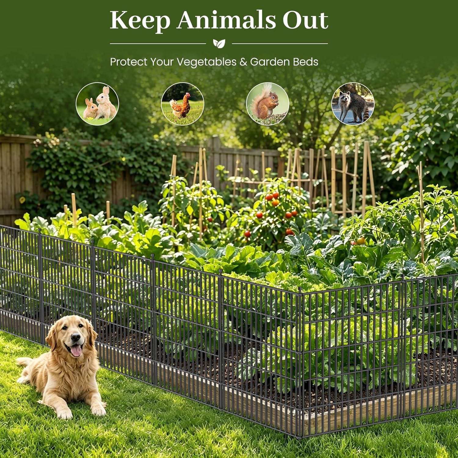No-Dig Decorative Outdoor Garden Fence for Yard, Animal Barrier Fencing for Dog | Rustproof Metal Temporary Fence for Patio, Pet and Flower Bed | 40in (H) x 23.6ft(L), 10 Panels