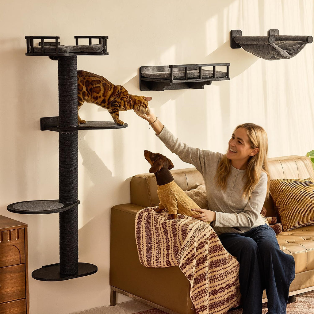FUKUMARU Cat Wall Shelves, 4 in 1 Stable Wooden Wall-Mounted Furniture Set, Climbing Tree with Hammock, Bed, Perch and Scratching Mat (Black)