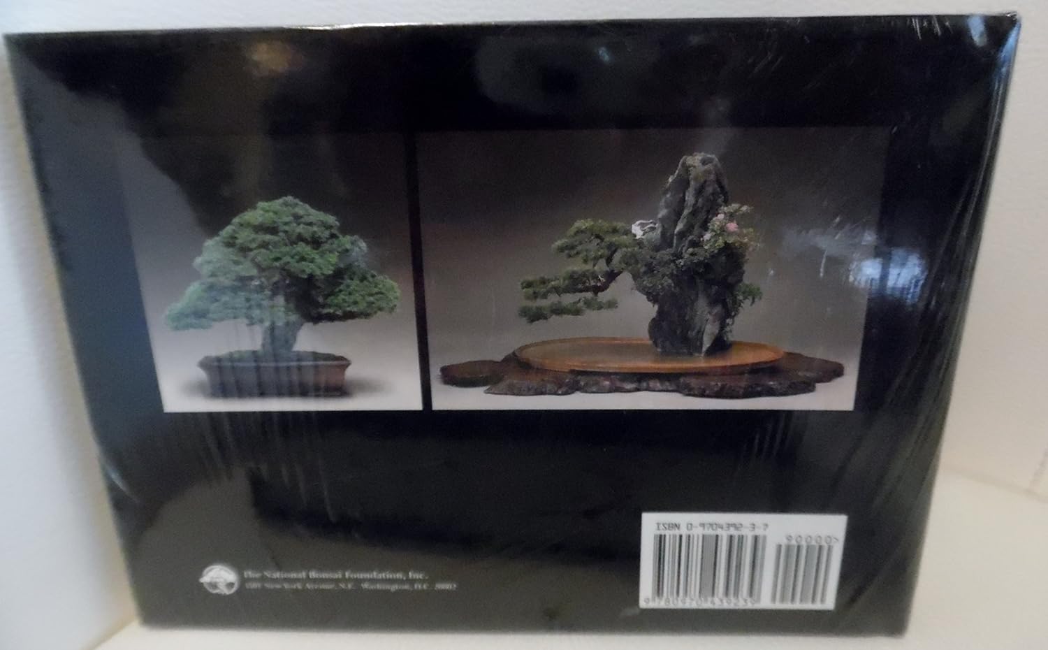 Forest, Rock Planting & Ezo Spruce Bonsai