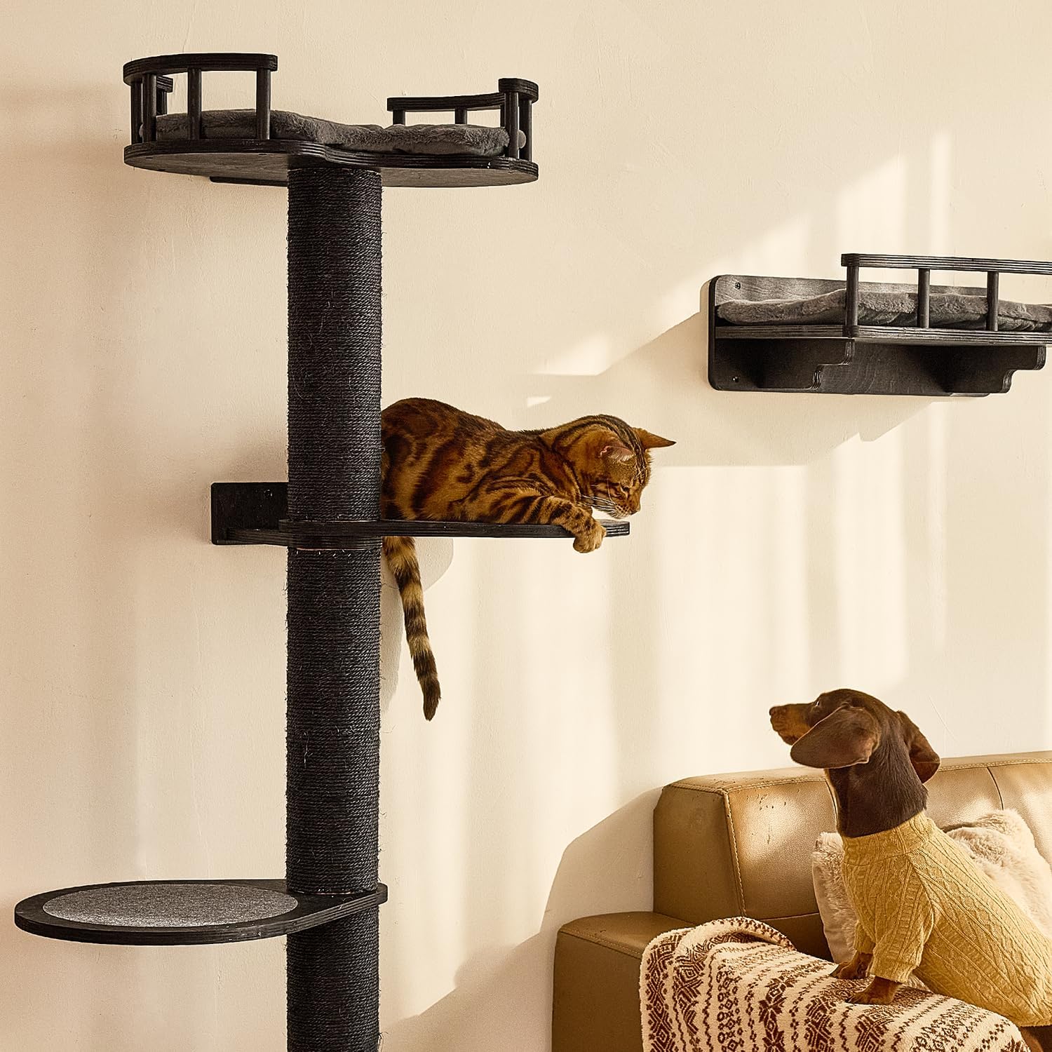 FUKUMARU Cat Wall Shelves, 4 in 1 Stable Wooden Wall-Mounted Furniture Set, Climbing Tree with Hammock, Bed, Perch and Scratching Mat (Black)