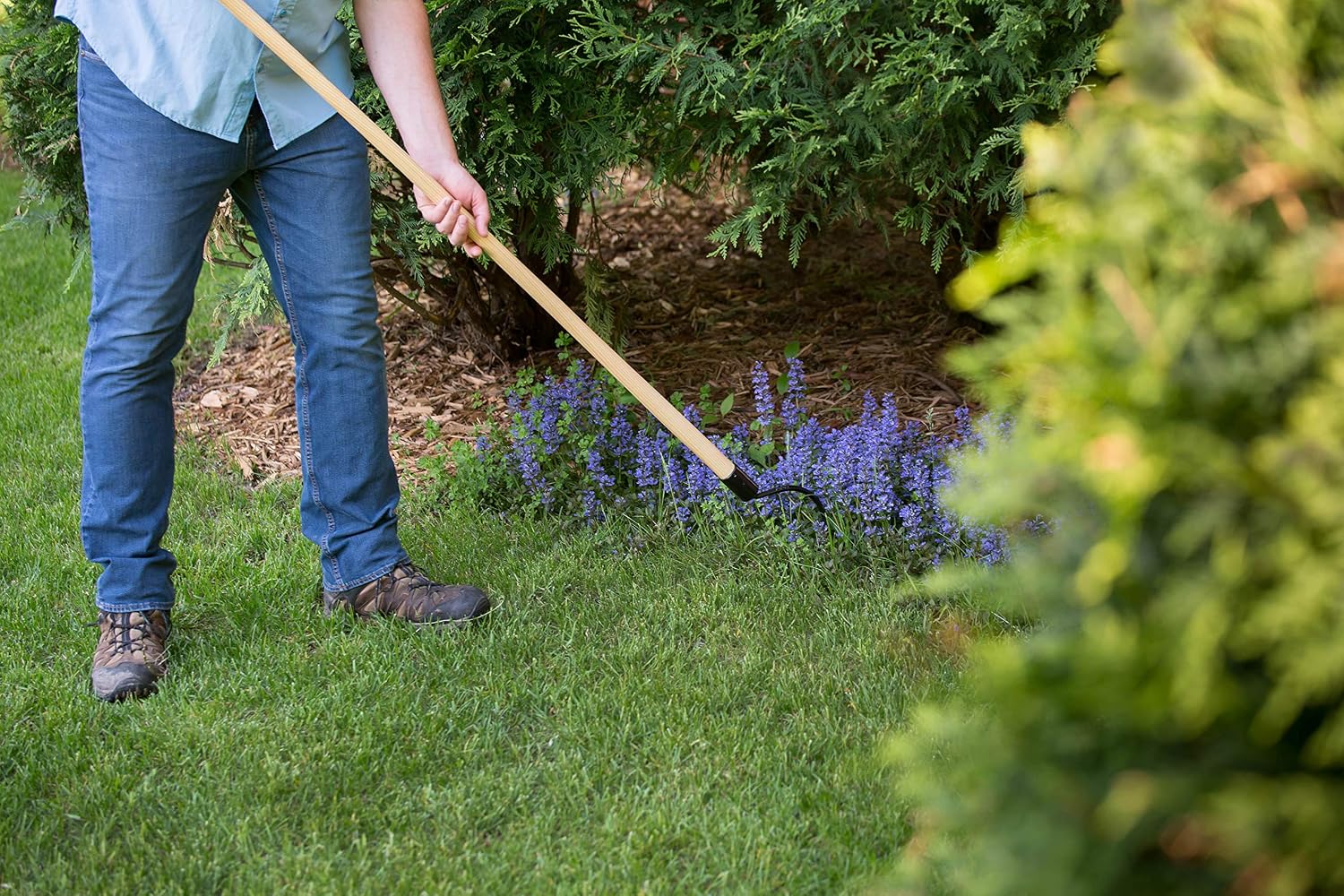 CobraHead® Long Handle Weeder & Cultivator Garden Tool - Forged Steel Blade - Natural 48-Inch Hardwood Handle - Ergonomically Designed for Digging, Edging & Planting - Perfect for Big Gardening Jobs