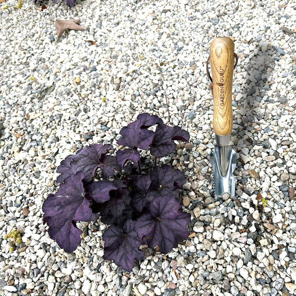 Garden Guru Hand Weeder Trowel with Ergonomic Handle – Stainless Steel Weeding & Digging Knife – Rust Resistant - Perfect for Weeding, Transplanting, Digging, Pruning, Cutting - 1 Case (50 Pcs)