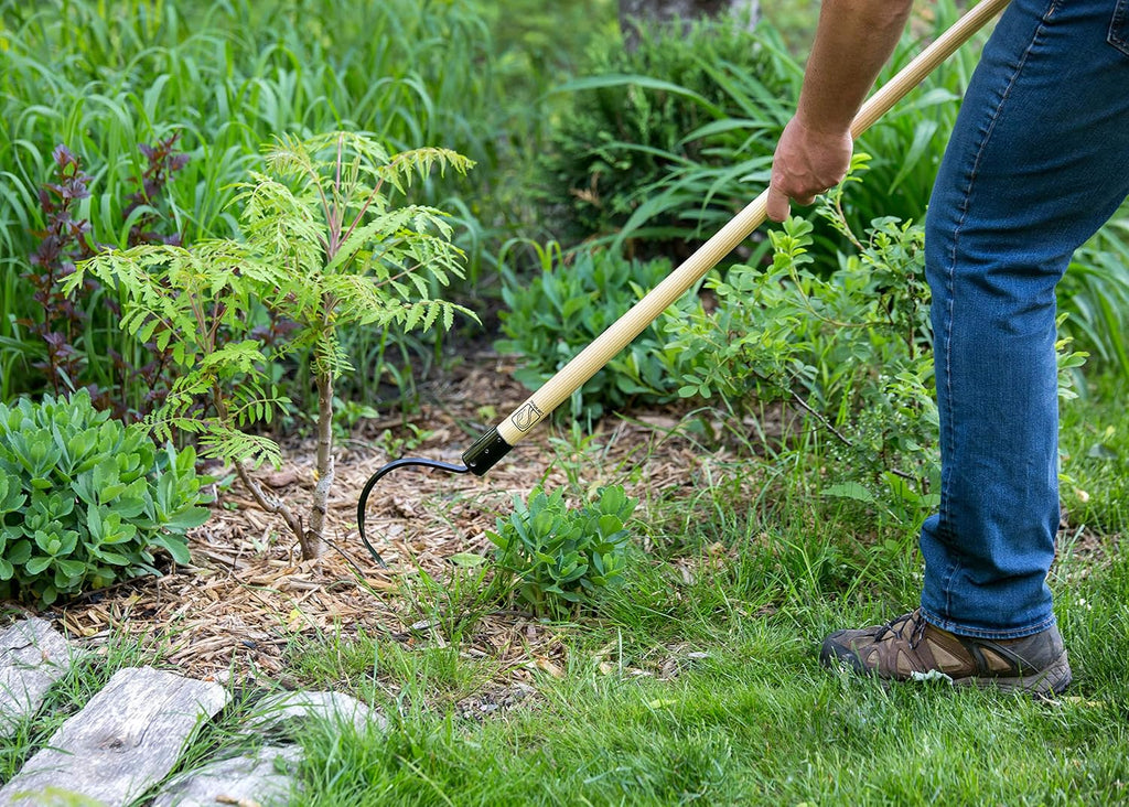 CobraHead® Long Handle Weeder & Cultivator Garden Tool - Forged Steel Blade - Natural 48-Inch Hardwood Handle - Ergonomically Designed for Digging, Edging & Planting - Perfect for Big Gardening Jobs