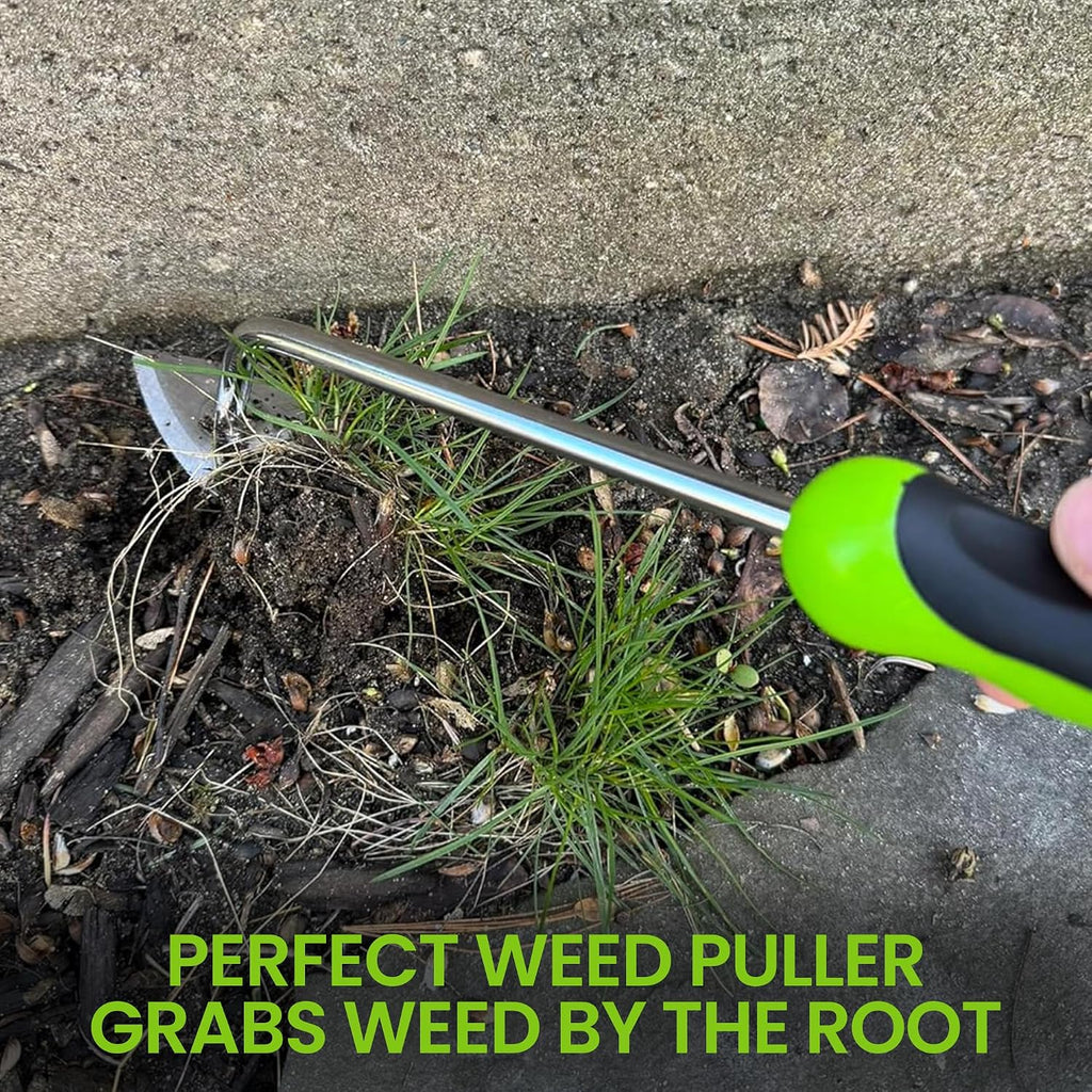 Garden Guru Root Weeder Tool with Ergonomic Handle - Stainless Steel Weed Puller for Planting, Weeding, Flower and Vegetable Care in Lawn Garden Yard | Rust Resistant - 1 Case (50 Pcs)