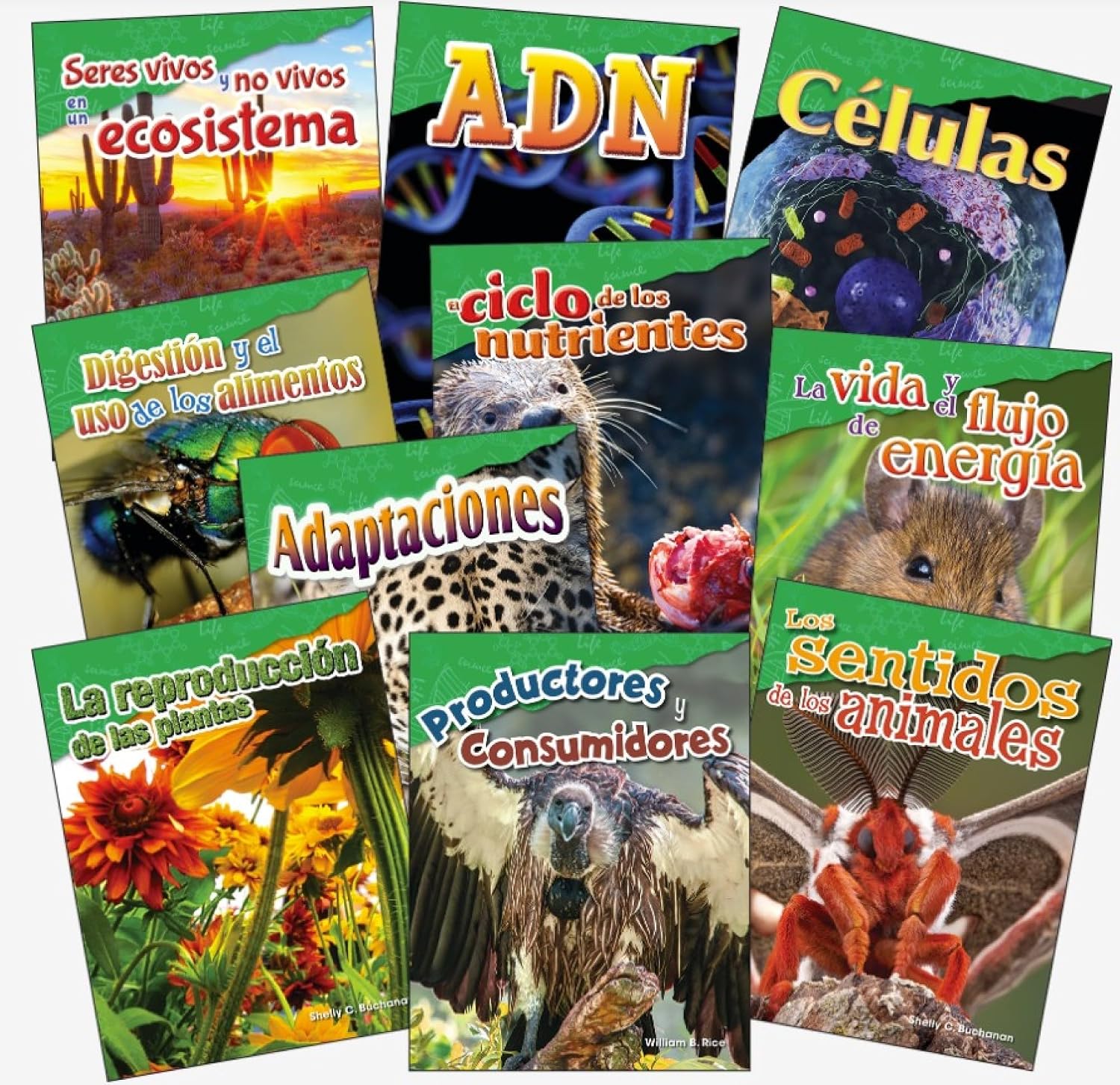 Let's Explore Life Science Grades 4-5 Spanish, 10-Book Set (Science: Informational Text) (Spanish Edition)